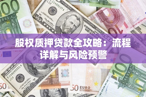 济南股权质押贷款全攻略：流程详解与风险预警