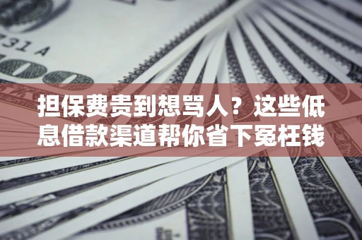 济南担保费贵到想骂人？这些低息借款渠道帮你省下冤枉钱