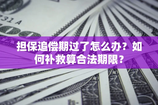 济南担保追偿期过了怎么办？如何补救算合法期限？