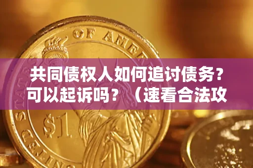 济南共同债权人如何追讨债务？可以起诉吗？（速看合法攻略）