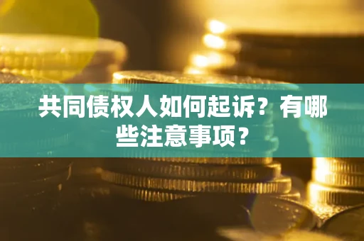 济南共同债权人如何起诉？有哪些注意事项？