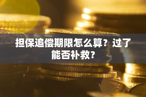 济南担保追偿期限怎么算？过了能否补救？